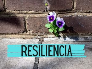 Resiliência e superação: abordagens psicológicas para lidar com adversidades