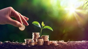 Investindo com Responsabilidade: ESG e Investimentos Sustentáveis