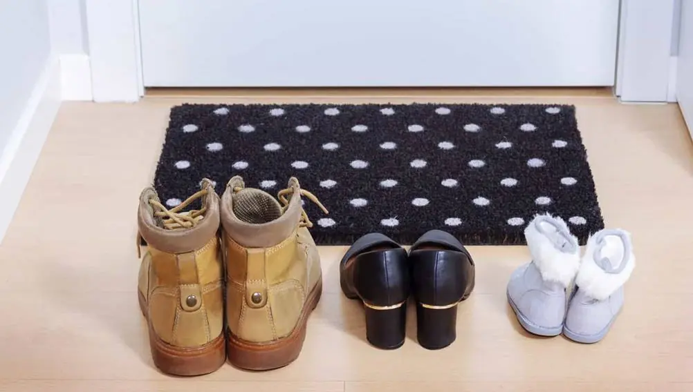 Tirar os sapatos para entrar em casa pode ajudar a ter uma vida mais saudável ? Tirar os sapatos para entrar em casa pode ajudar a ter uma vida mais saudável ?